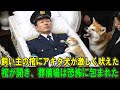 【奇跡の実話】アキタ犬が飼い主の棺に激しく吠えた…棺の蓋が開けられた瞬間、葬儀場全体が衝撃に包まれた。
