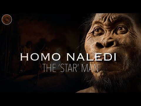 فيديو: متى تم اكتشاف naledi؟