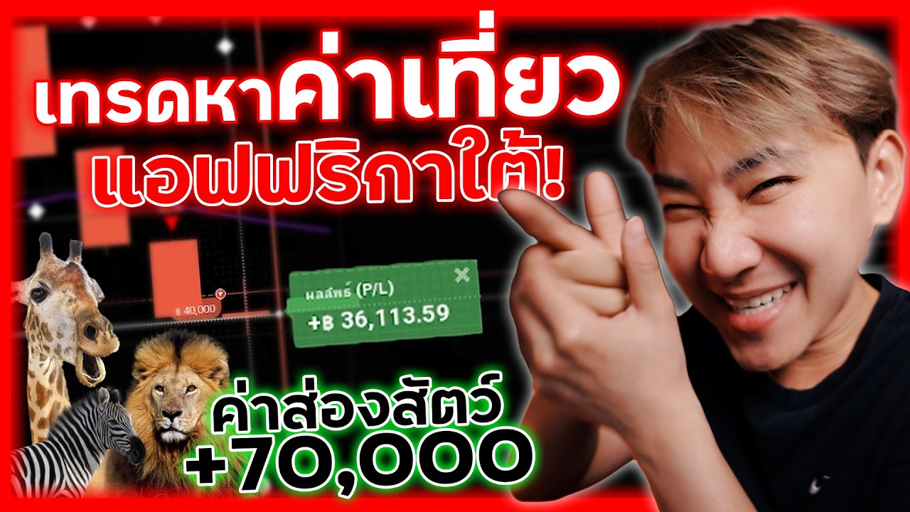 พาไปเทรด Ep154 : ผมใช้เทคนิคนี้เทรด IQ Option เพื่อไปเที่ยว แอฟฟริกาใต้ ใช้ง่ายมาก +70,000 | 8XTrade