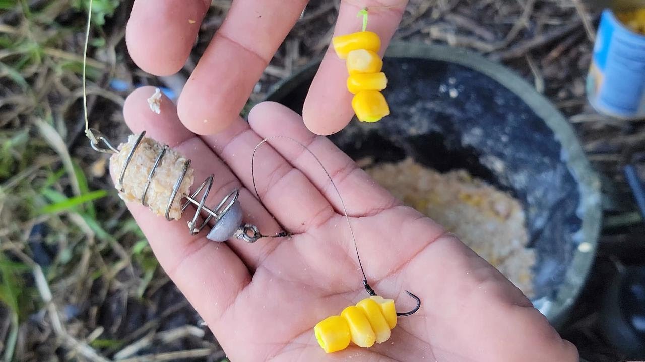 Tandem Baits SuperFeed Hook Fatty Pellet Squid & Orange Carp Pellets | Carpas Pesca Sin Esfuerzo