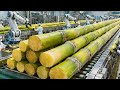 Inside the Sugarcane Processing Factory – How Fresh Cane Becomes Dark Cane Sugar (Full Process)