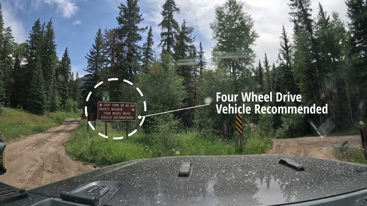 Lower East Fork San Juan Rd And Quartz Meadow  Trail Review