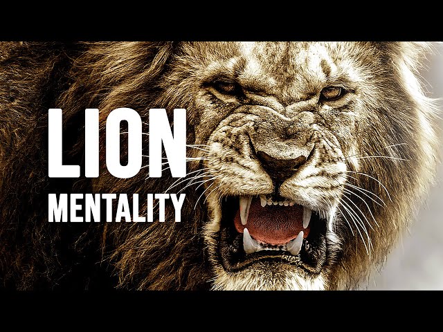 LION MENTALITY - Motivational Video class=