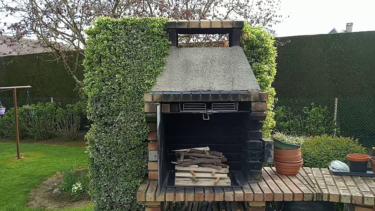 Fusain rampant utilisation originale