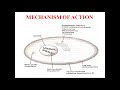 Antifungal drugs introduction fungal infections classification moa  fungal resistance