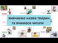 Вчимо назви тварин, літери та вчимось читати. Розвиваючий мультик українською для дітей