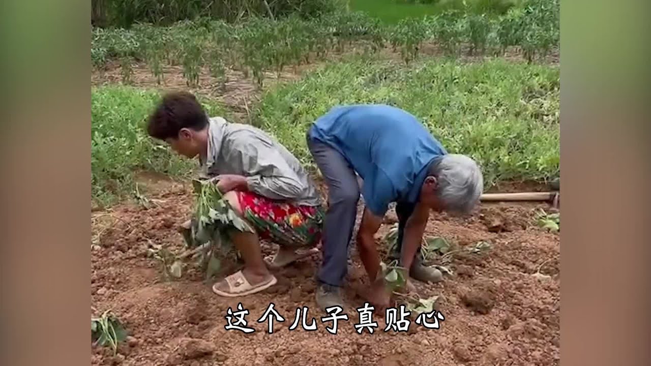 张焱:靠“坑爹”爆笑日常走红网络,被称“全网最能扛揍”的儿子 - YouTube