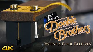 The Doobie Brothers - What a Fool Believes - Vinyl