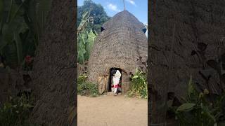 Casas Elefante En Dorze, Ethiopia