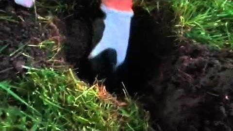 Full Dig With The Minelab E-Trac