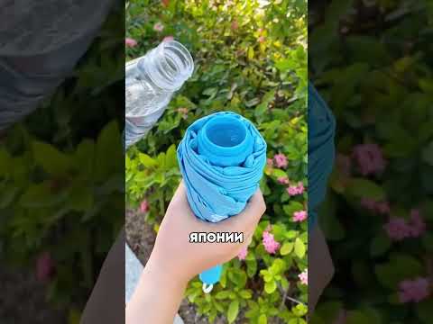 Япония живет в 2050 😯