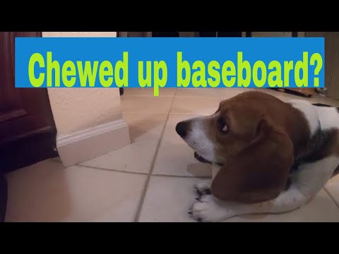 How to Fix a Baseboard That A Puppy Chewed Up --- Fast and Cheap!!