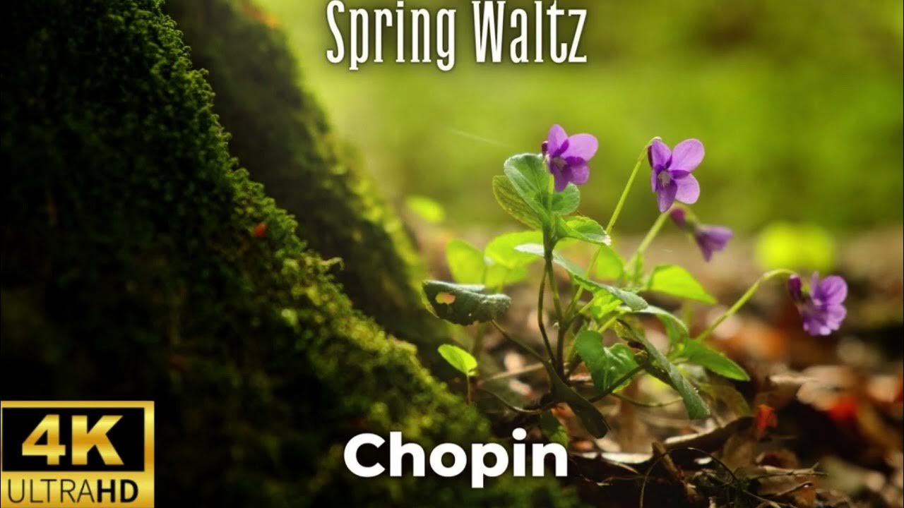 Frédéric Chopin Spring Waltz 2 Hours: Enjoy the Most Relaxing Classical Music Frédéric Chopin Spring Waltz 2 Hours: Enjoy the Most Relaxing Classical Music