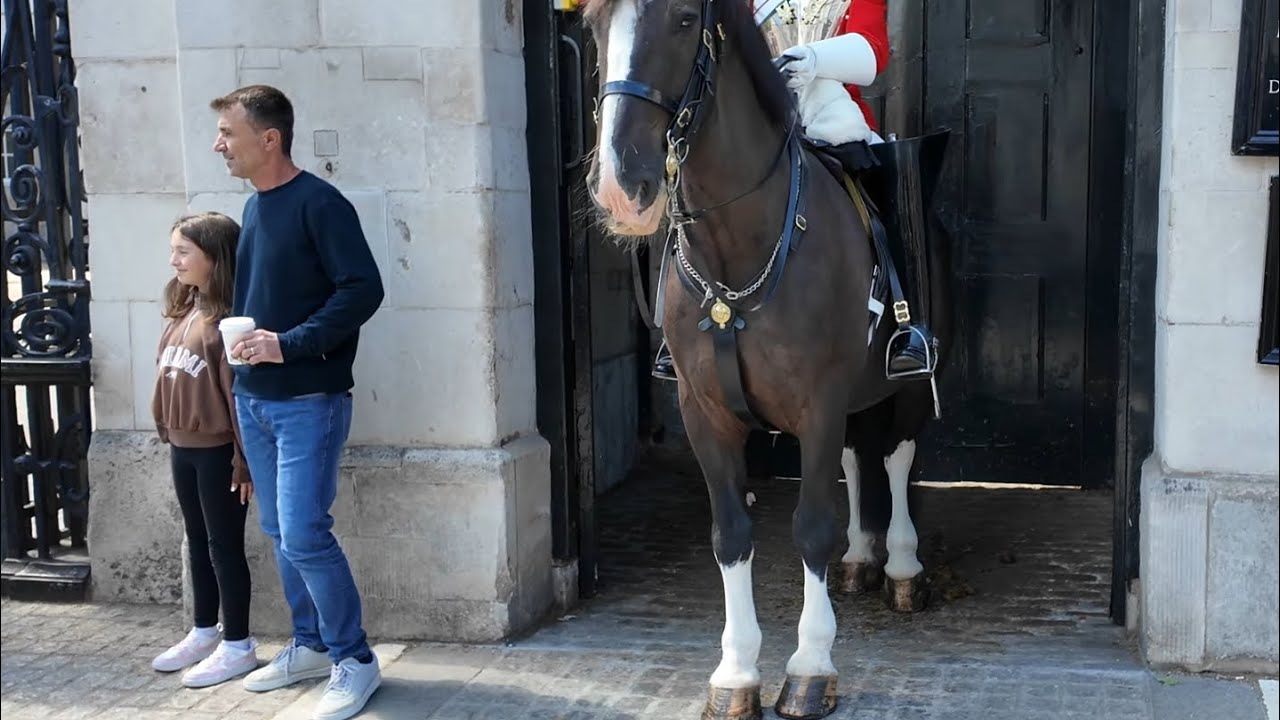 Please Respect the White Line Rules. 