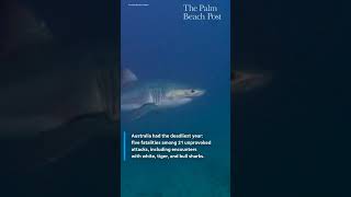 Florida leads U S shark bites in 2025 Where s the deadliest