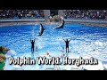 🇪🇬Dolphin World. EGYPT, Hurghada 2016 مصر