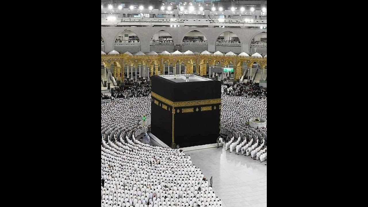 نعمة الهداية إلى التوحيد