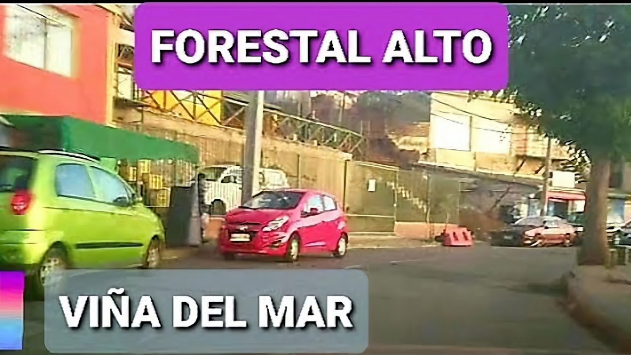 02 Recorriendo Los cerros de Forestal Alto Viña del Mar , Chile 2020 ...