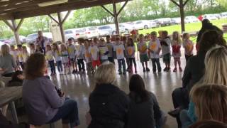Braxton school picnic