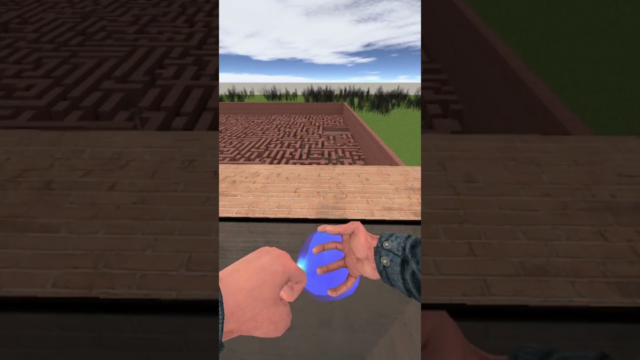 ВЫБОР: БЕЖАТЬ ИЛИ ПОПАСТЬСЯ 