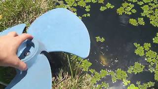 HOMEMADE OXYGENATOR: RAISE FISH WITHOUT USING ELECTRIC POWER