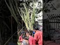 #🙏🙏#chhath puja##shopping #bajar#subscribe ##subscribe like