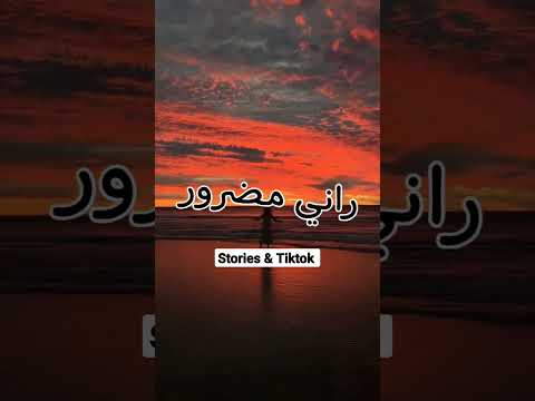 بلال صغير حسيت بالفيد