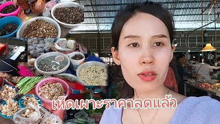 เงินเดือนน้อยอัพเดทราคาเห็ดในตลาดตลาด #ฝากกดติดตามด้วยนะครับ