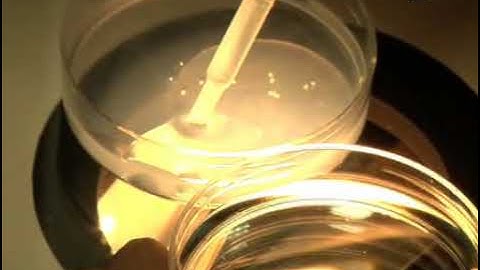 Infusion of the Zebrafish Brain Ventricle