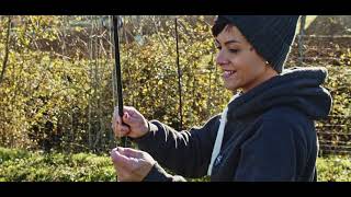 Prepara la TUA WOLF RODS....