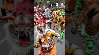 തശശരൽ ഇതതവണ പലകളറങങലലSg Channel