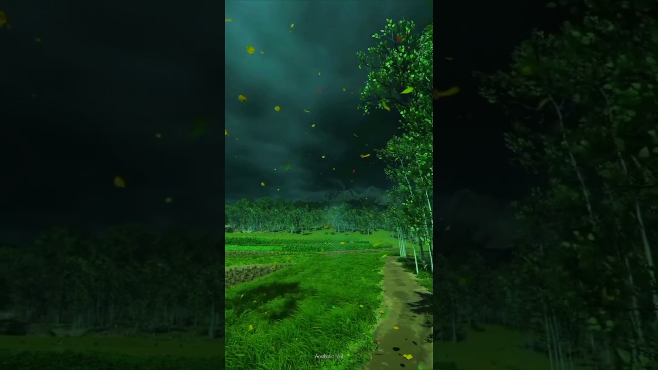 The Beauty Of Dark Weather ☁️ 