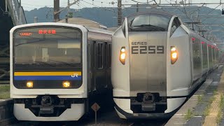 【列車番号】4014M E259系横クラNe009編成 特急しおさい14号東京行&【列車番号】380M 209系2100番台都マリC610編成 総武本線普通千葉行 飯岡駅1、2番線各ホーム発着