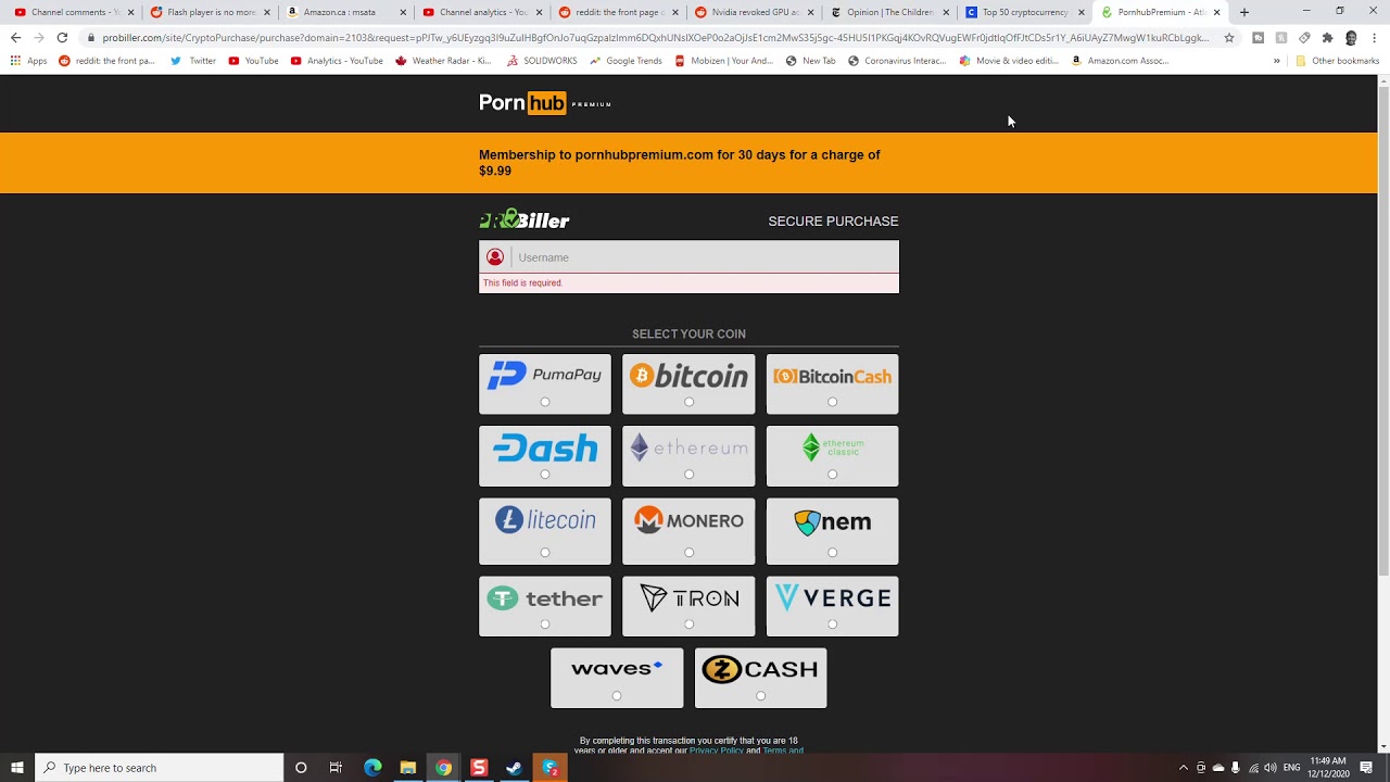 Pornhub Accepting Bitcoin After Visa Ditches It. This Is Huge For Bitcoin.
