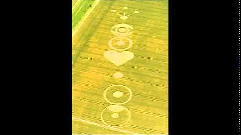 S.Mandelker PhD: The Law of One, Session 26 (1)