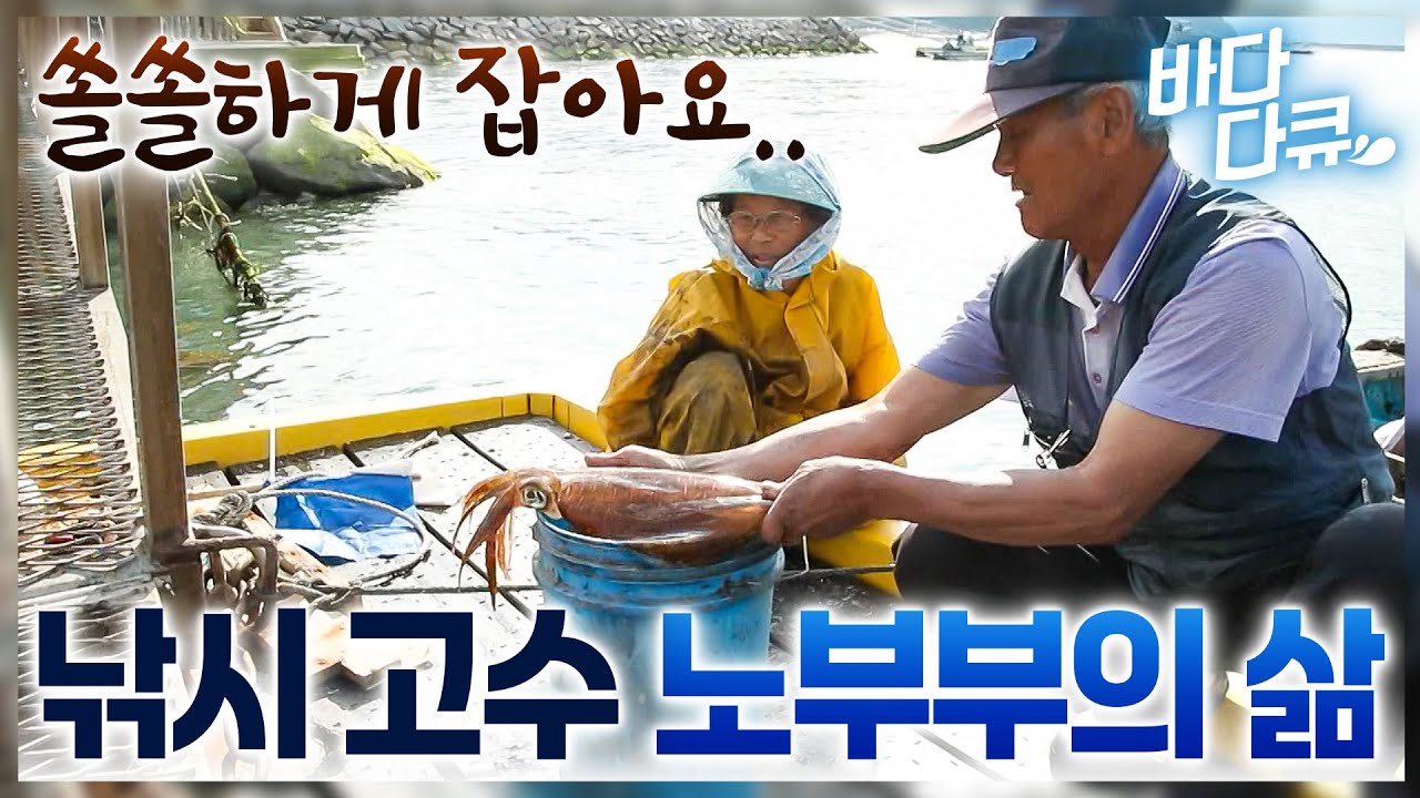 문어에 광어에 오징어에.. 종목 안 가리고 잘 잡는 오지마을 노부부의 인생 / 