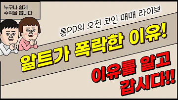 왜 하필 오늘이지 비트 대비 알트들의 새벽 4시 하락빔 23 08 16