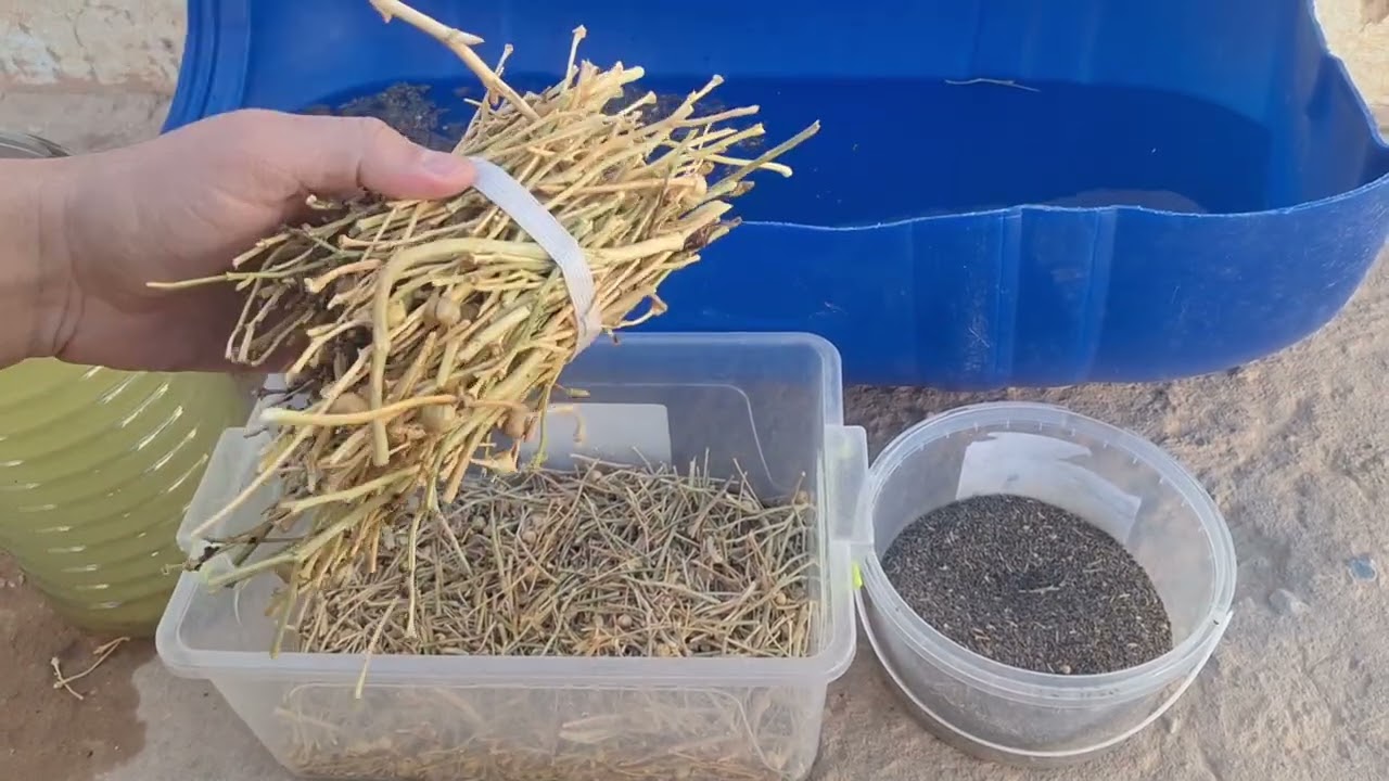 الحرمل المضاد الحيوي الشامل لعلاج و وقاية الحلال من أمراض الصدر والشتاء