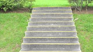 T and J Landscaping and Lawn Maintenance Service