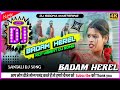 Badam Herel🌺Santali Dj Song 2024🌺New Santali Song 2024🌿 New Santali Video 2024