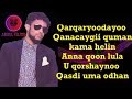Guleed Simba Hees Cusub Qaali Quruxley Lyrics