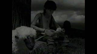 The Green Project - Shepherd