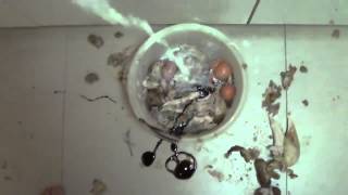 So macht man richtige nuggets :d