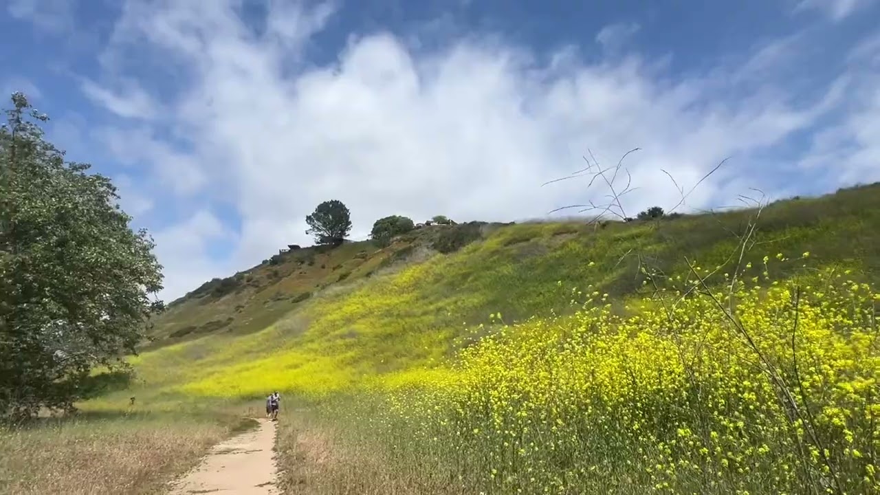 2025-05-18   San Diego-Marian Bear memorial park -trail to BILTMORE