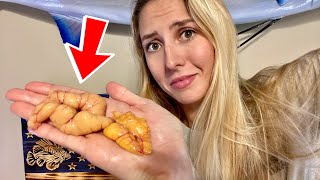 Would You Eat This ?!? Crappie *ROE* Catch Clean and Cook (DIY)