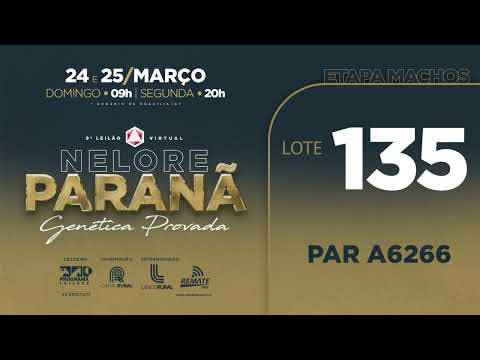 LOTE   135 PAR A6266