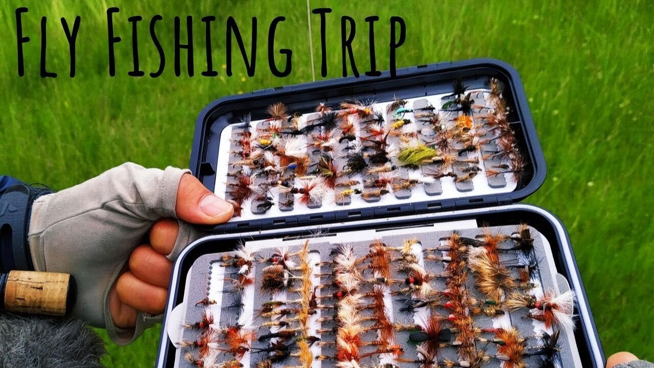 Fly fishing trip Queenstown, New Zealand 2018 YouTube