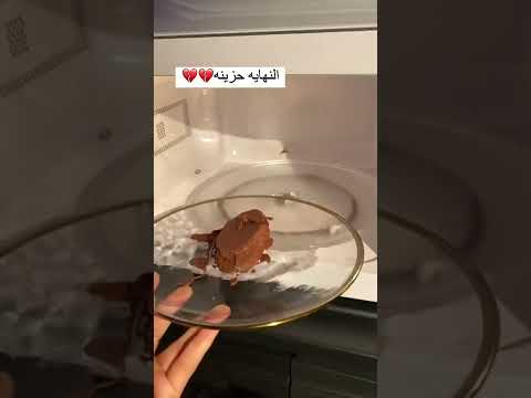 هبه الترند كيك ديمه