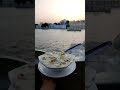 #view #cafe #oldcity #rooftop #udaipur #foodies #food #foodblogger #hungrysoul #cityview #vibes