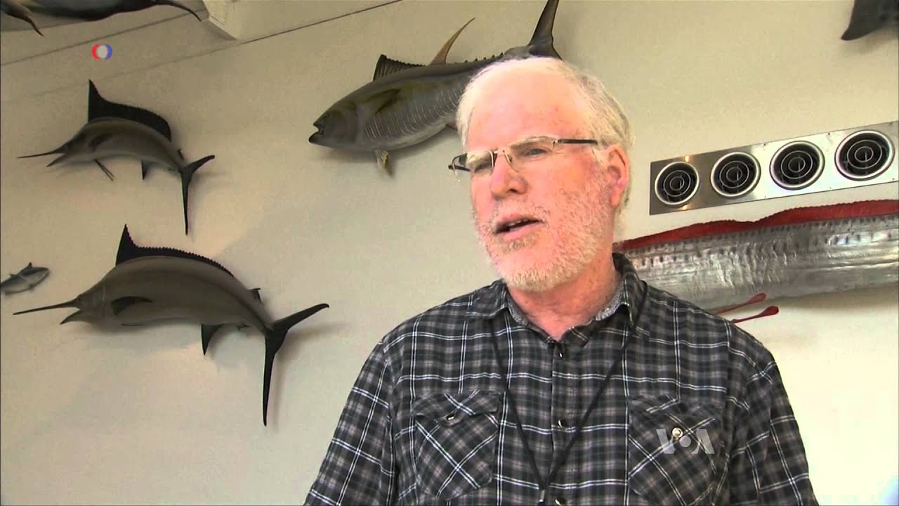 El Niño Brings Unexpected Fish From Mexico to California